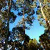 Dd7f7e0aa1d14dab00c5edc26989ae833c202035