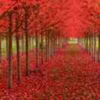 D84c978bd7192df0a6d60c152900de3cfdd07f63