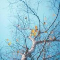 2d9d86e4f6e627181850c00ed7a3d98d45984cfe