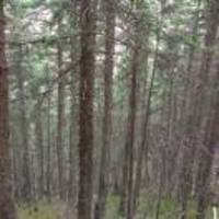 F0a9b31a2899618d035427bb6dad6f03de8eecce