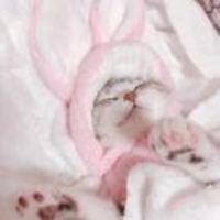 F372138cfaaf197a89bb03a849e34b60df0ea391