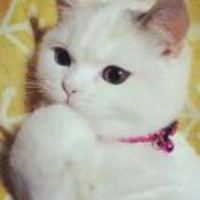 8fc6a7dc01f5ae80607487766e1328d79f2d56d9