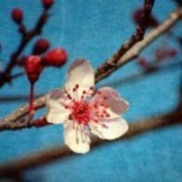 72aca4634e80e686d5d428d751645c718284fb10