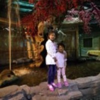 65de3f8c695dd40354675716129fcee1fa8bed47