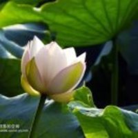 3472d538e09fab33e3e5511337673e49aea2d5a3