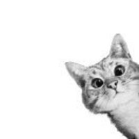 477599613946bad9390cdc7d91a25418342847ee