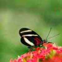 7aaed53eaf0db19897d287542d9a8b0a3eb2810b