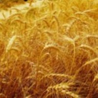 645fcc3eeaa6f8d69d995f74b2be0f59a68e1466