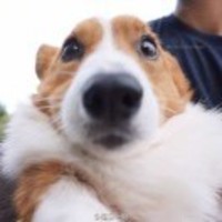 A137d54932c304ac21821e93bd47f7769ea6fead