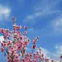 7e9af561044b5be0e21e0f3fbce54ba375a66e81