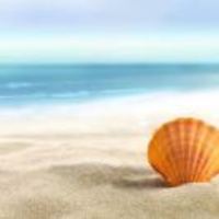 A8be1eb5069e7076418fb664535c5e5513127c28