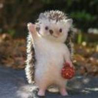 F4708658689221eedea6241b12e46e9b1161f46a