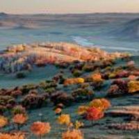 C9681012d7d6d5a188a0cc8944c5412e762e50b6