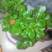 8b3d44edb2e3b4445bdee6c6eff833458889fe40