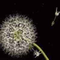 26d756f4dc58e490852e4f6cc860615ae9eedaf0