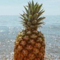 2ec32427f1c49beb3c4f7bf260a67d9176d14cd6