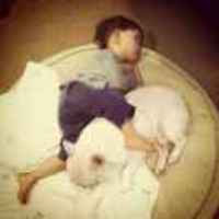 Ab5ef31ce5ac20ad8d3bbee248a26e987318eaed