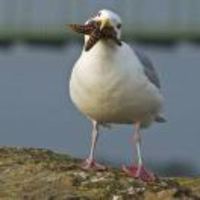 Bf9ddf50cfb68b282c479df4fb5a1c185b28370b