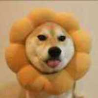 B0a5d09aa18cfc3812cb67e5b8402f8c96fd38a1