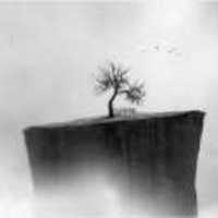 2f7b59bfecbc370626fad4e312b22077ff274a90