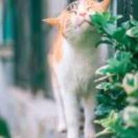 F28be034a459040dc46082bc626487d5731950bc