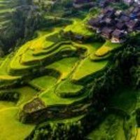 D590d2b497712932ef77ea27dda24baa4291a877