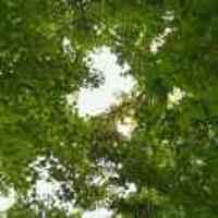 6d677225e5774cc1995921eec97ffc244cf585df