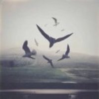 328e2ae6d9f4cd4711b133c2d4cb5764004d9da9