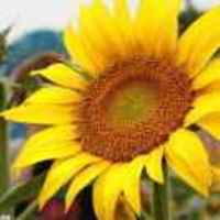 D19746c22e179ace0e16ab065d40a2c1932207c9