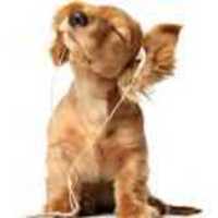 3e65dfdf4955c2d5ca792b40a74f6f5e0d4bd9d3