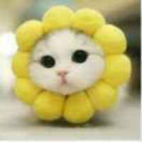 371eba6555432382be9891f3139ad818e84d8c06