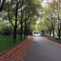 20321b0e141da186643f641fbf525ba5df38e18c