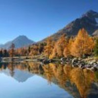 92237be7f096098db3c4d153183ed1588a9c9655