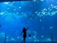 267660f11a9aa286a7831db86ad943f1fda4a29b