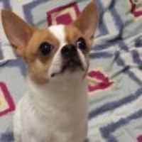 215f05bb9b6aeff9d767818cce308d48044875cb