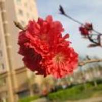 4ae6c40b6996c3176e4f9532dbe04aa6705831ac