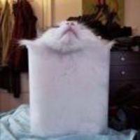 Afea2c5fbcf06155888b1086e23b5f1f71c6c645