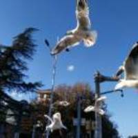 F8069a592e6866eeb787ce6e4e458378ea60c19e