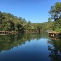 88ad351b00232bcf259c8d600d47568737fa1213