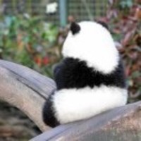 2ebd1eec043905863d5c512aa4f089d302ee1a8e