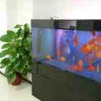 Ecdf0816a1e3b05e0e586d8f17d80c5abdb7797b