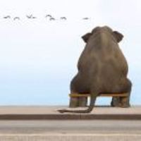 Eedcfaa1da42f536f24be6a2315500e10c0411ef