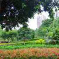 32b43449c7c744b94867304ae0542584ebeec78e