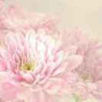 1f353bd1d2831e38c0d0bbefb514c37d8588fd1e