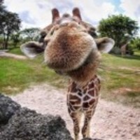 Eb9953124a14bc7fe036159db297cfa8c913f0f6