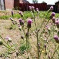 Be9d37206cb73ce9e68325f3dee66b1dd69686c9