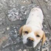 Eba8a1aa48bb1549bf4555aa75d45372eb8fdf5a