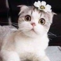 475f97950c3c0edc5dfa0da28ed1ab30e501f651