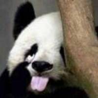 Ec56389013289a96ca35dc6aff37f91ca65797c0