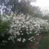 7f82b163404087b722bd252d7073428373b729c6